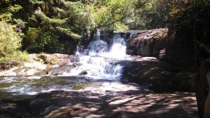 ALSEA FALLS & GREEN PEAK FALLS