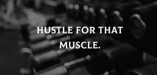 hustle-for-that-muscle