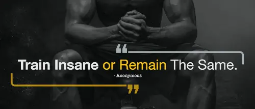 train-insane-or-remain-the-same