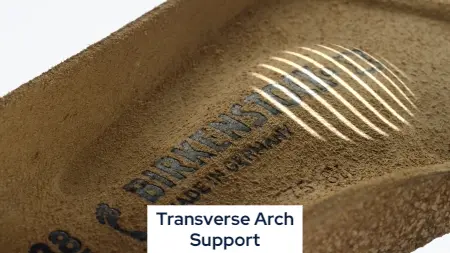 birkenstock-footbed-transverse-arch-support