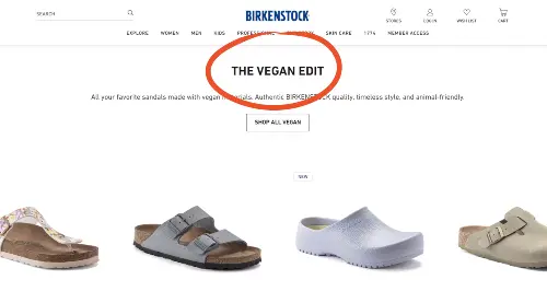 birkenstock-vegan-shoes