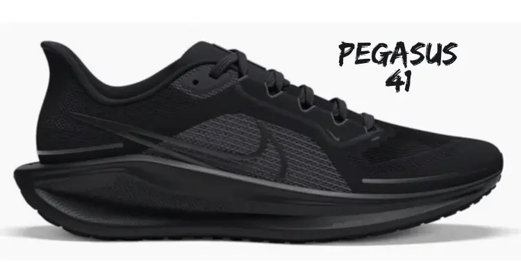 nike-pegasus-41-initial-pictures-black-colorway