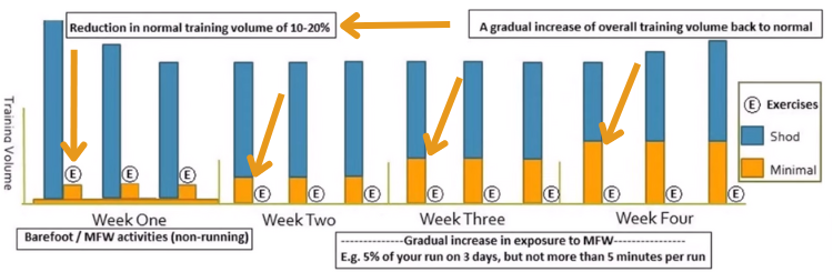 research-recommends-spending-1-to-2 -weeks-walking-and-doing-strength-training-exercises-in-minimalist-shoes