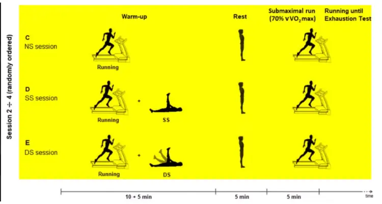 stretching-targets-same-muscle-groups-and-lasts-for-same-duration