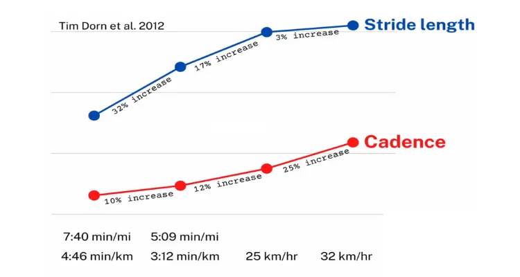 study-muscular-strategy-shift-in-human-running-dependence-on-running-speed-on-hip-and-ankle-muscle-performance