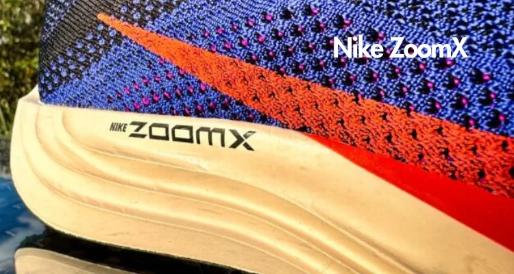 nike-pegasus-plus-zoomx-foam