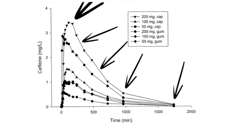 Caffeine-gets-absorbed-into-bloodstream-within-about-45-minutes
